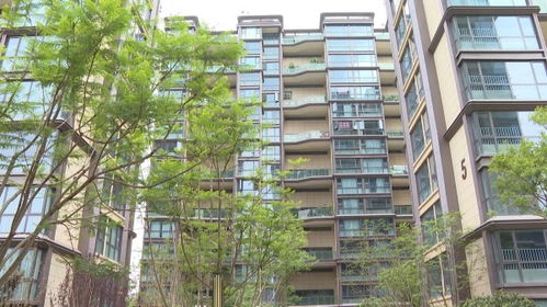 楚雄市出臺 十二條措施 促進房地產市場平穩健康發展