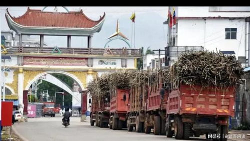 果敢上萬(wàn)噸甘蔗進(jìn)入云南 圣母心網(wǎng)友 可幫建工廠,促進(jìn)當(dāng)?shù)匕l(fā)展