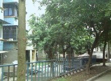 大江廠一組團(tuán) 安居客房產(chǎn)百科