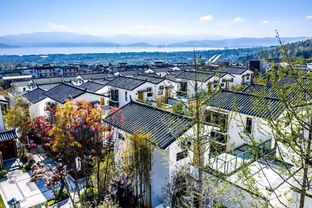 喜訊 實(shí)力集團(tuán)實(shí)力 小院子度假村榮獲 2019中國(guó)房地產(chǎn)優(yōu)秀原創(chuàng)產(chǎn)品品牌 殊榮