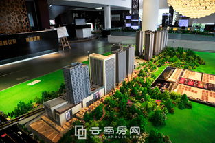 譽(yù)峰國(guó)際8月銷售創(chuàng)佳績(jī) 投資型產(chǎn)品受青睞