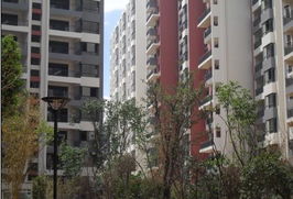 朝花曦拾1期滿意交房 2期聯(lián)邦國(guó)際中心即將面市