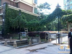 新亞100 真房源,財富中心3房全新裝修,帶全套家具家電3500 月 房產(chǎn)頻道 云南信息網(wǎng)