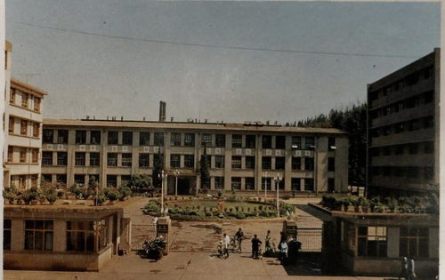 水泥封尸二十年 1963年云南女會計攜款失蹤懸案揭秘